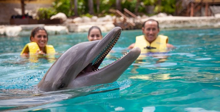 Nado com golfinhos em Cancun
