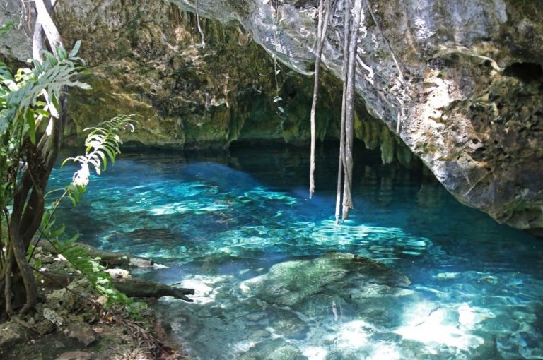Gran Cenote Tulum Cancun Playa del Carmen